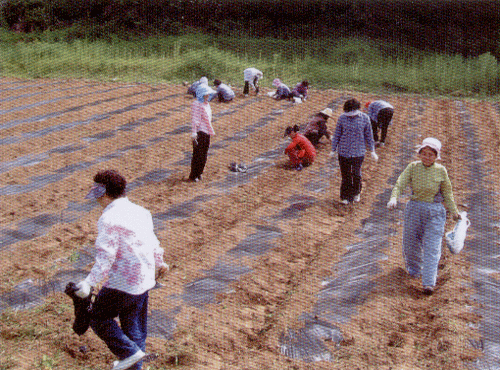 20070828_12.gif