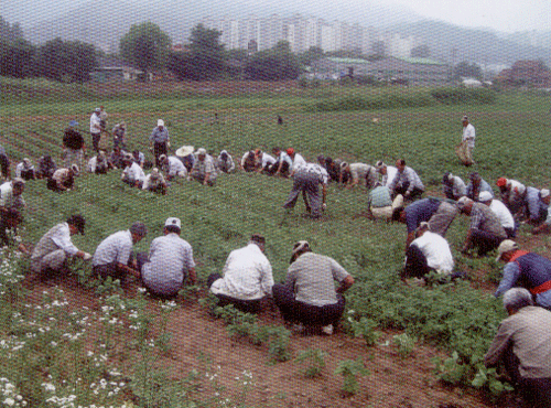 20070828_16.gif
