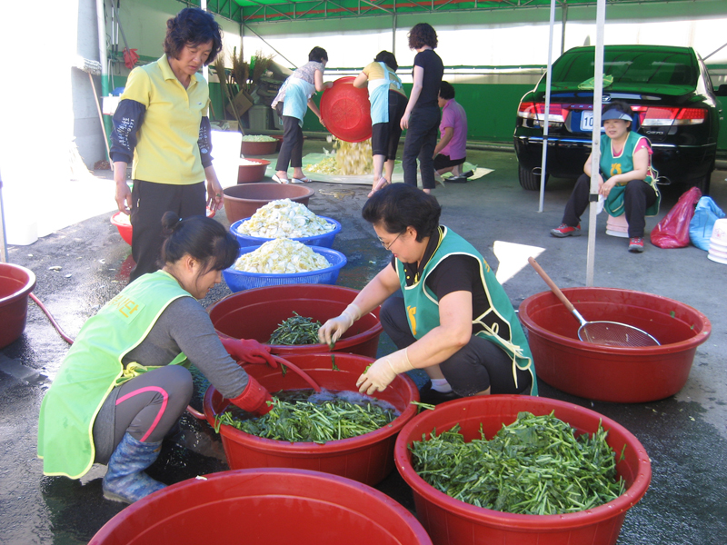 20100623.jpg