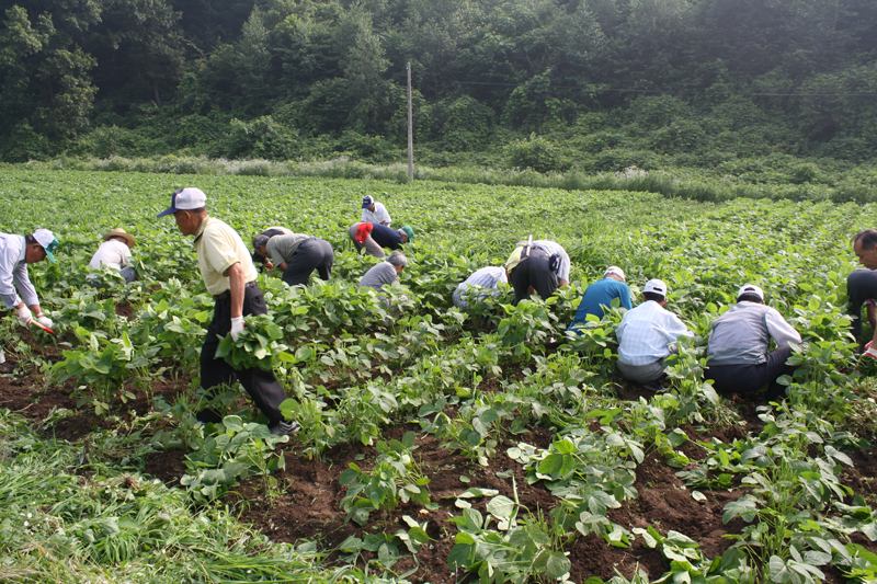 20100706.jpg