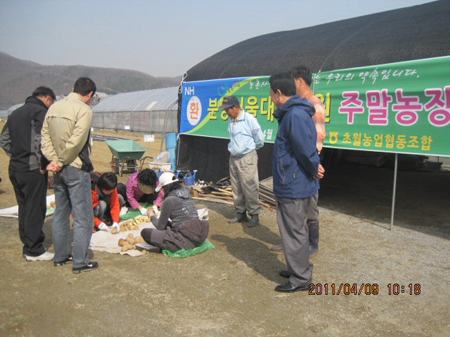 135133_01.jpg